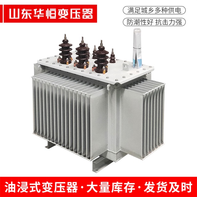 S13-10000/35天宁天宁天宁油浸式变压器厂家